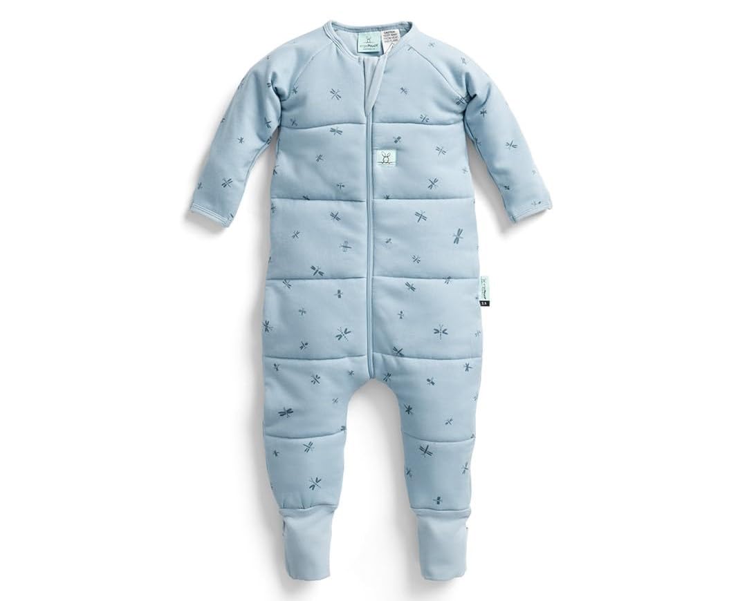 ergoPouch Sleep Onesie 2.5 TOG – Warm Baby Romper & Sleep Layer with Full-Zip, Guarding Against Blankets, Breathable & Movement-Friendly, Ideal for Transitional Sleeping (6-12 Months, Dragonflies)