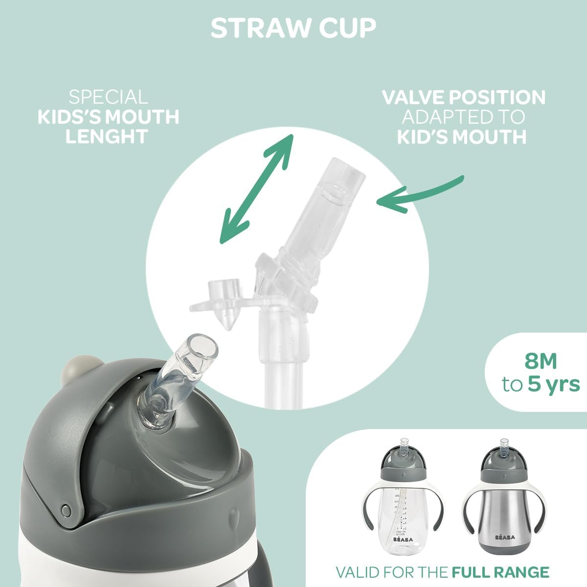 Beaba Stainless Steel Straw Sippy Cup, Insulated Toddler Cups Spill Proof with Removable Handles, Made with High Grade Stainless Steel, 8+ months, 8.5 oz Terracotta
