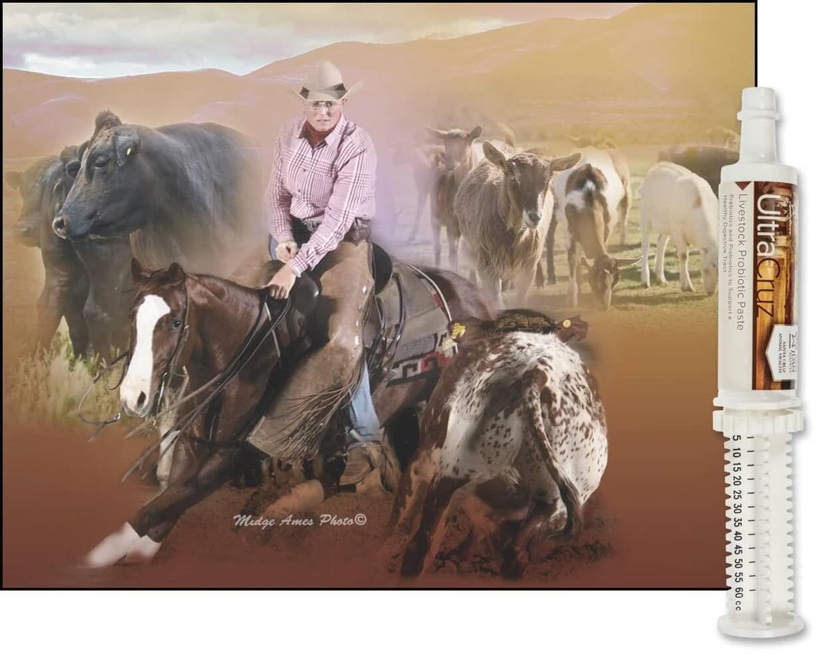 Probiotic Paste for Cattle, Goats, Sheep, and Pigs UC 60 ml, Paste, 4 Day Supply