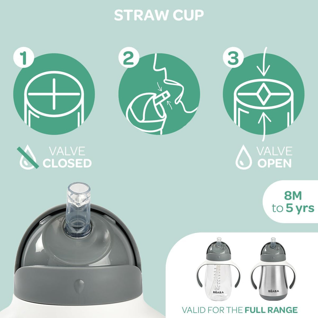 Beaba Stainless Steel Straw Sippy Cup, Insulated Toddler Cups Spill Proof with Removable Handles, Made with High Grade Stainless Steel, 8+ months, 8.5 oz Terracotta