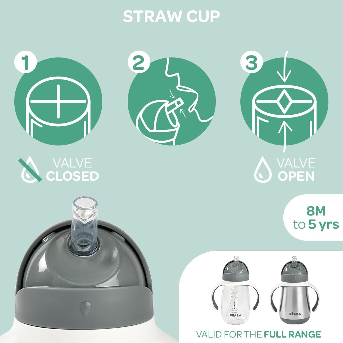 Beaba Stainless Steel Straw Sippy Cup, Insulated Toddler Cups Spill Proof with Removable Handles, Made with High Grade Stainless Steel, 8+ months, 8.5 oz Terracotta