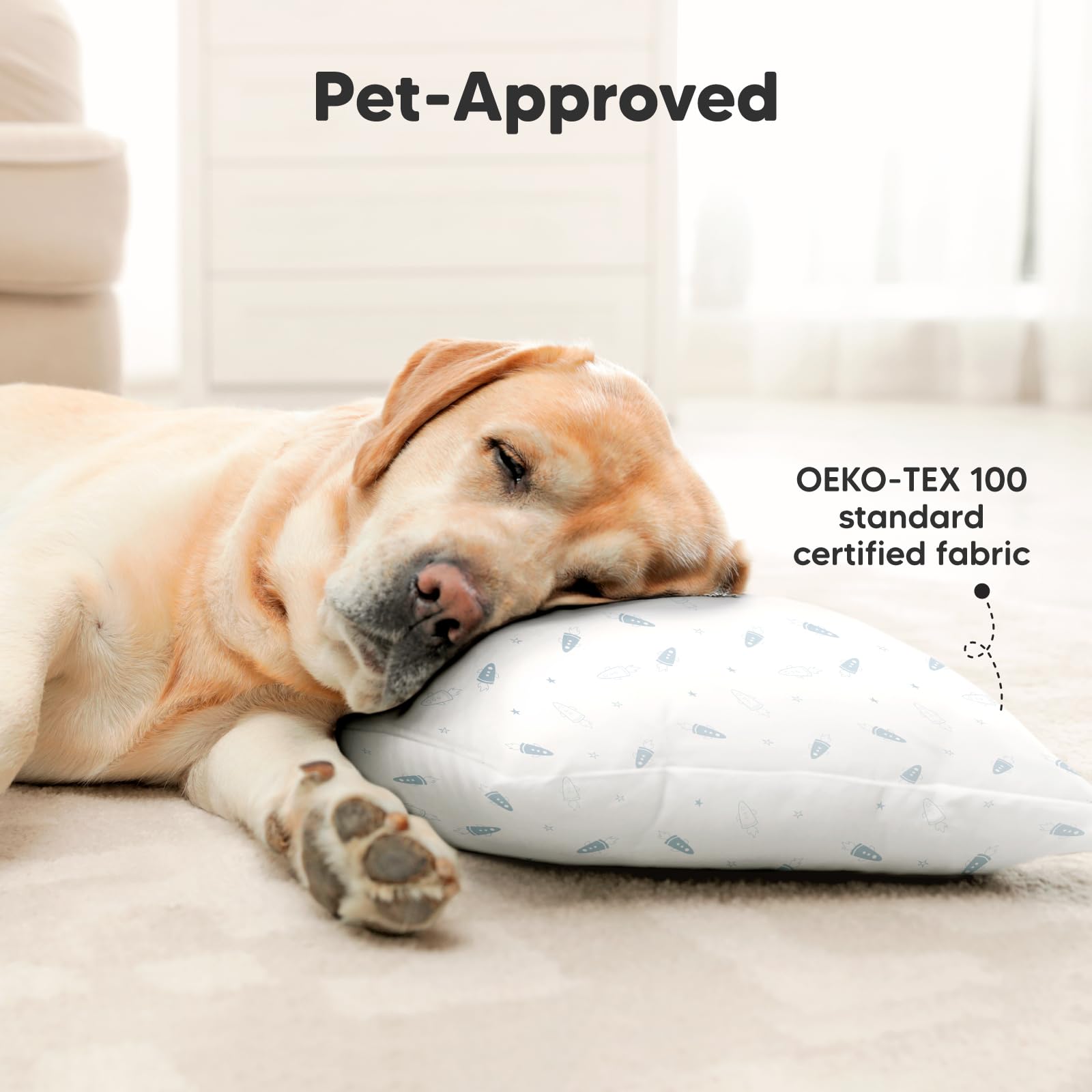 2pk Toddler Pillows 2 Year Old to 5,13x18 Kids Pillow (Spacecrafts)