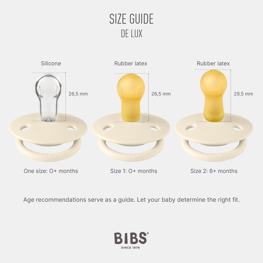 BIBS Pacifiers - De Lux Collection | BPA-Free Round Nipple | Silicone | Made in Denmark | Set of 2 Blossom/Haze Color Premium Soothers | Size One Size