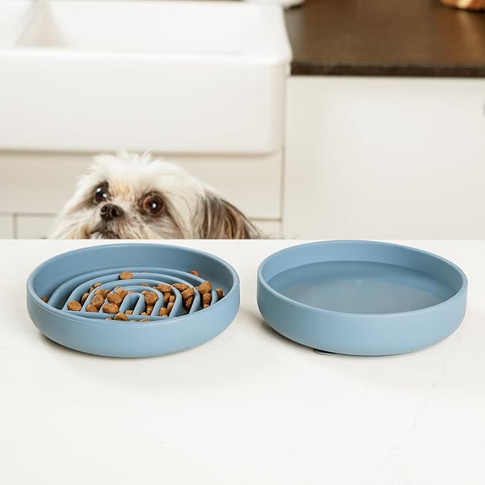 Should We Go? Slow Feeder for Dogs & Cats, The Slowdown Bowl Silicone Slow Eating Mealtime Solution with Modern Lick Mat Design, Reduces Gulping, Fits 1 Cup, 6” Across x 1.25” Tall, Small-Spruce