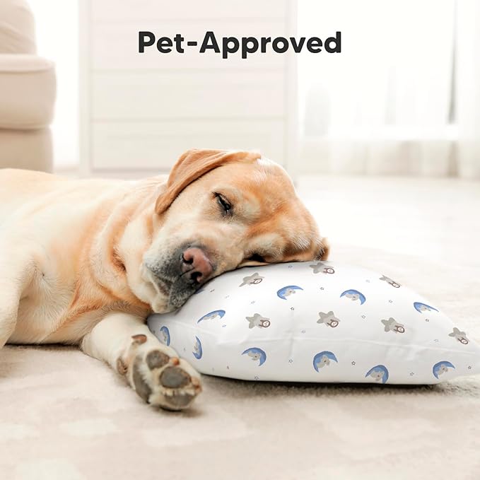 Toddler Pillow with Pillowcase - 13x18 My Little Dreamy Kids Travel Bed Pillows for Sleeping, Organic Cotton Small Pillowcase, Soft & Breathable, Machine Washable, Toddlers 2-5 years old (Space Drift)
