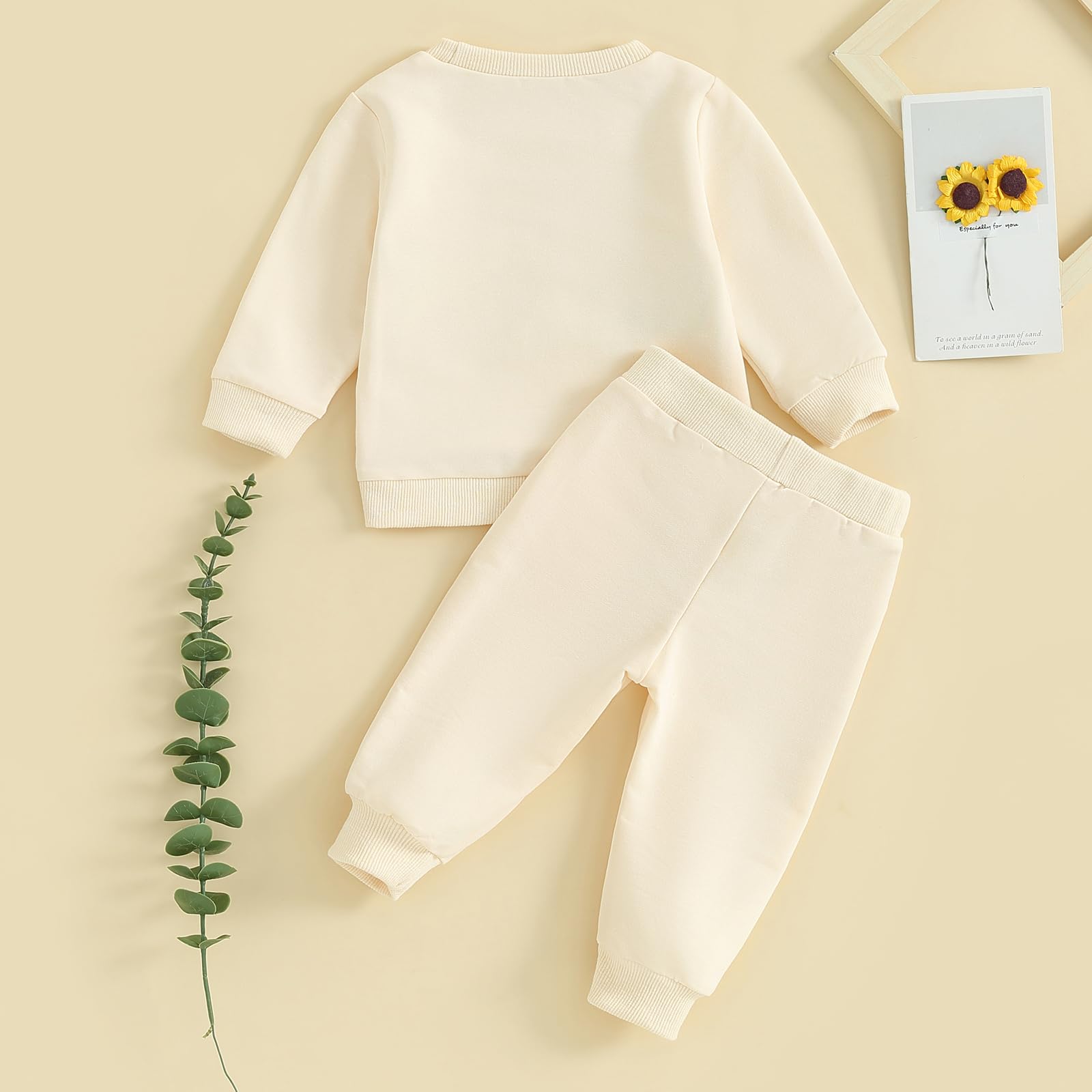 Toddler Baby Girl Clothes 6 12 18 24 Months Fall Outfits Sweatshirt Pants