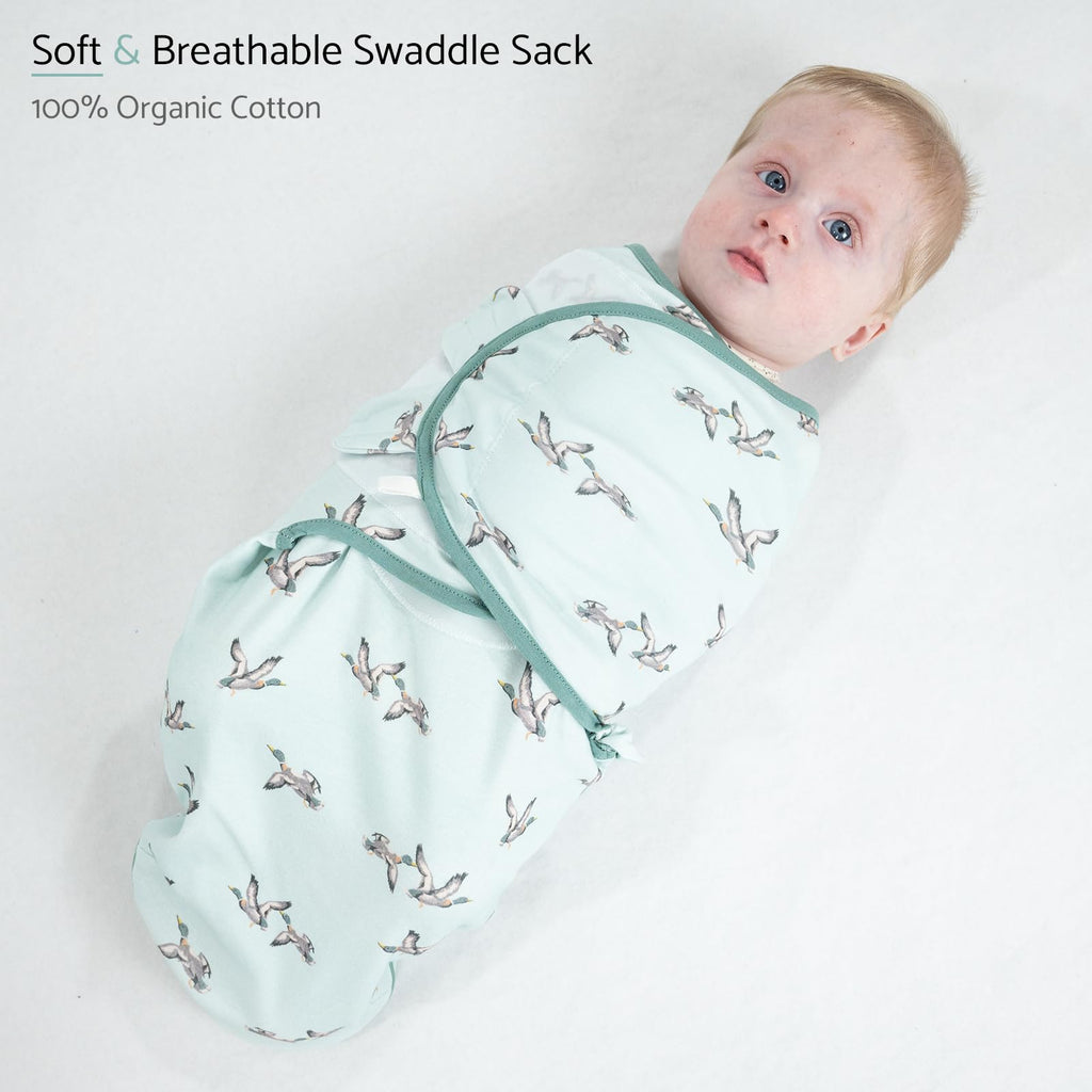 LollyBanks Newborn Swaddle,100% Organic Cotton Baby Swaddle for Newborn