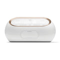 Spectra Baby Synergy Gold Portable Dual Adjustable Electric Breast Pump