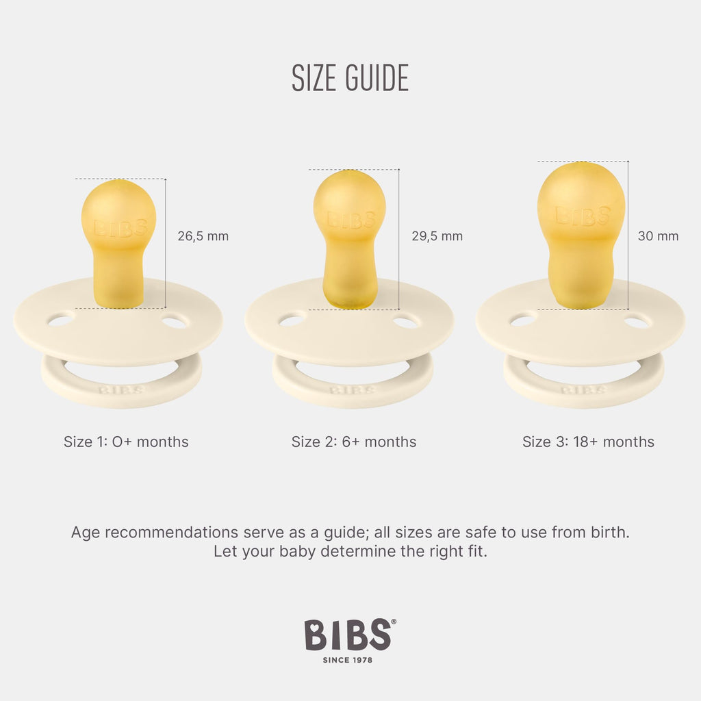 BIBS Colour Pacifier, 6-18 Months, 4-Pack, Round Nipple, Sage