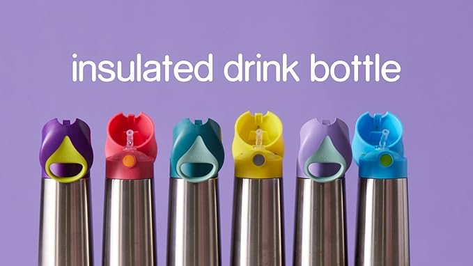 b.box 12 oz Insulated Water Bottle - Keeps Drinks Cold 8 Hours, Warm 6 Hours, Triple Wall Stainless Steel Kids Water Bottle w/Free Flow Silicone Straw, Leakproof & Dishwasher Safe