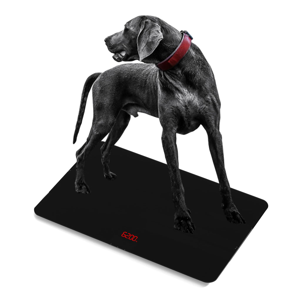 SIKE Digital Dog Veterinary Scale, 220lbs High Precision Pet Weighing Scale