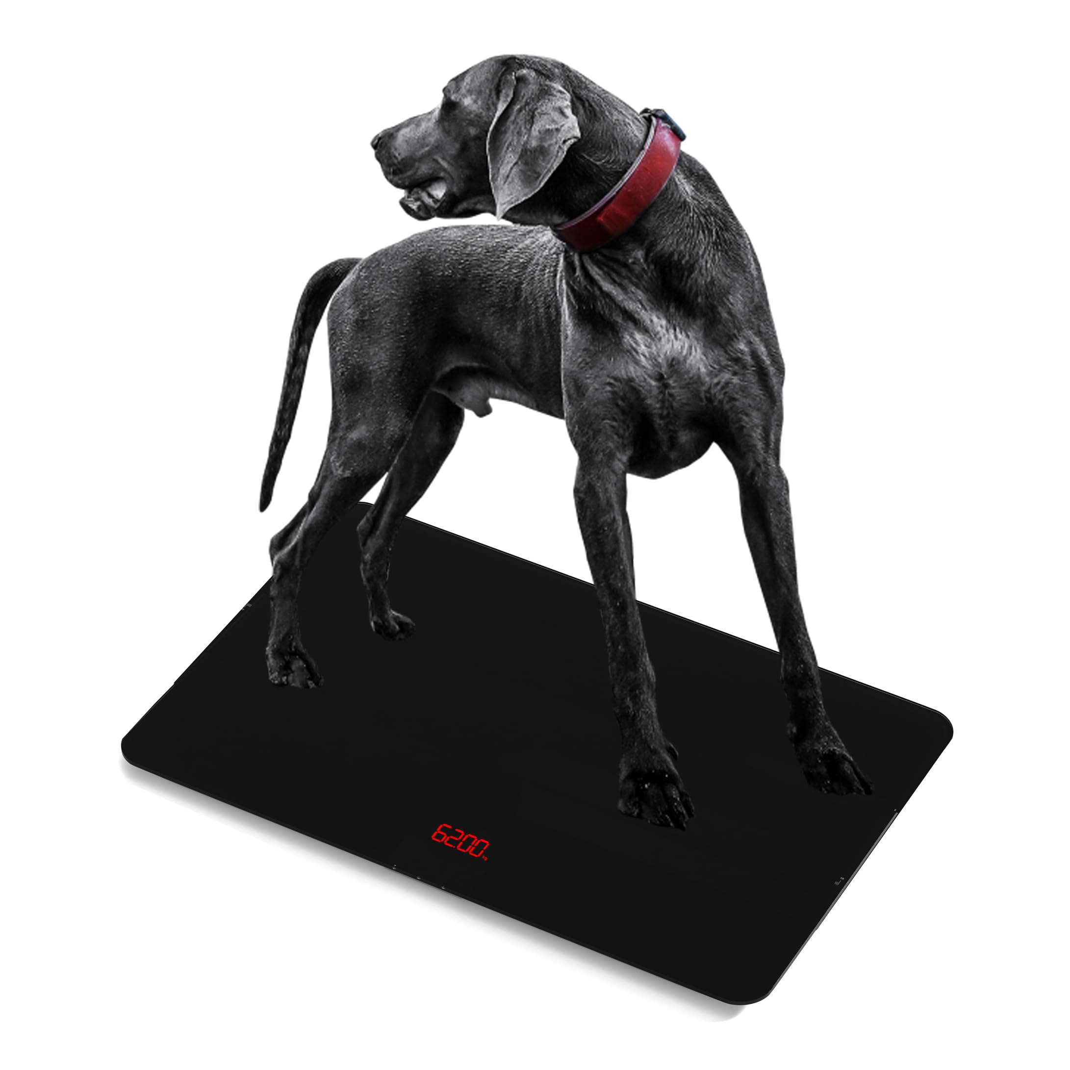 SIKE Digital Dog Veterinary Scale, 220lbs High Precision Pet Weighing Scale