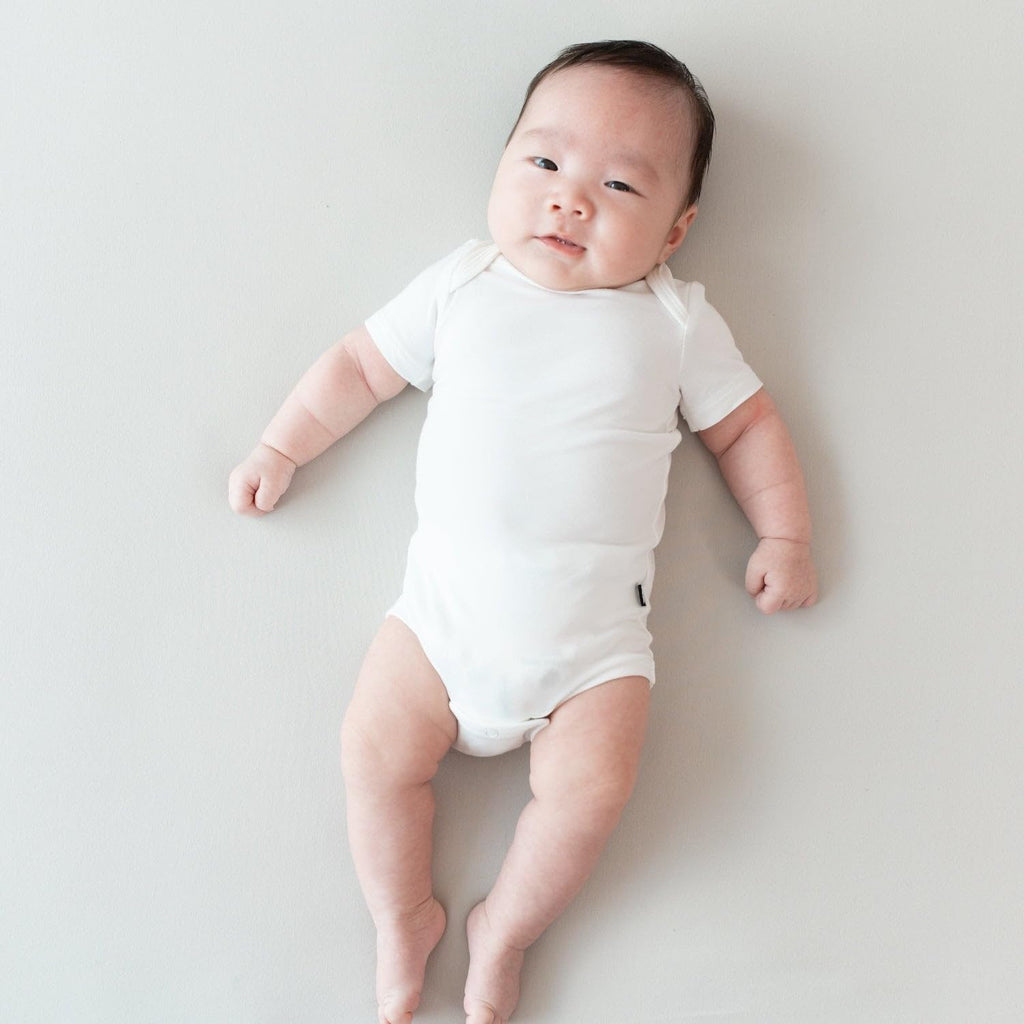 KYTE BABY Unisex Bodysuits, 2 - Pack Short Sleeve Baby Bodysuits, 97% Rayon Made from Bamboo, 3% Spandex (6-12 Months, Cloud, Storm)