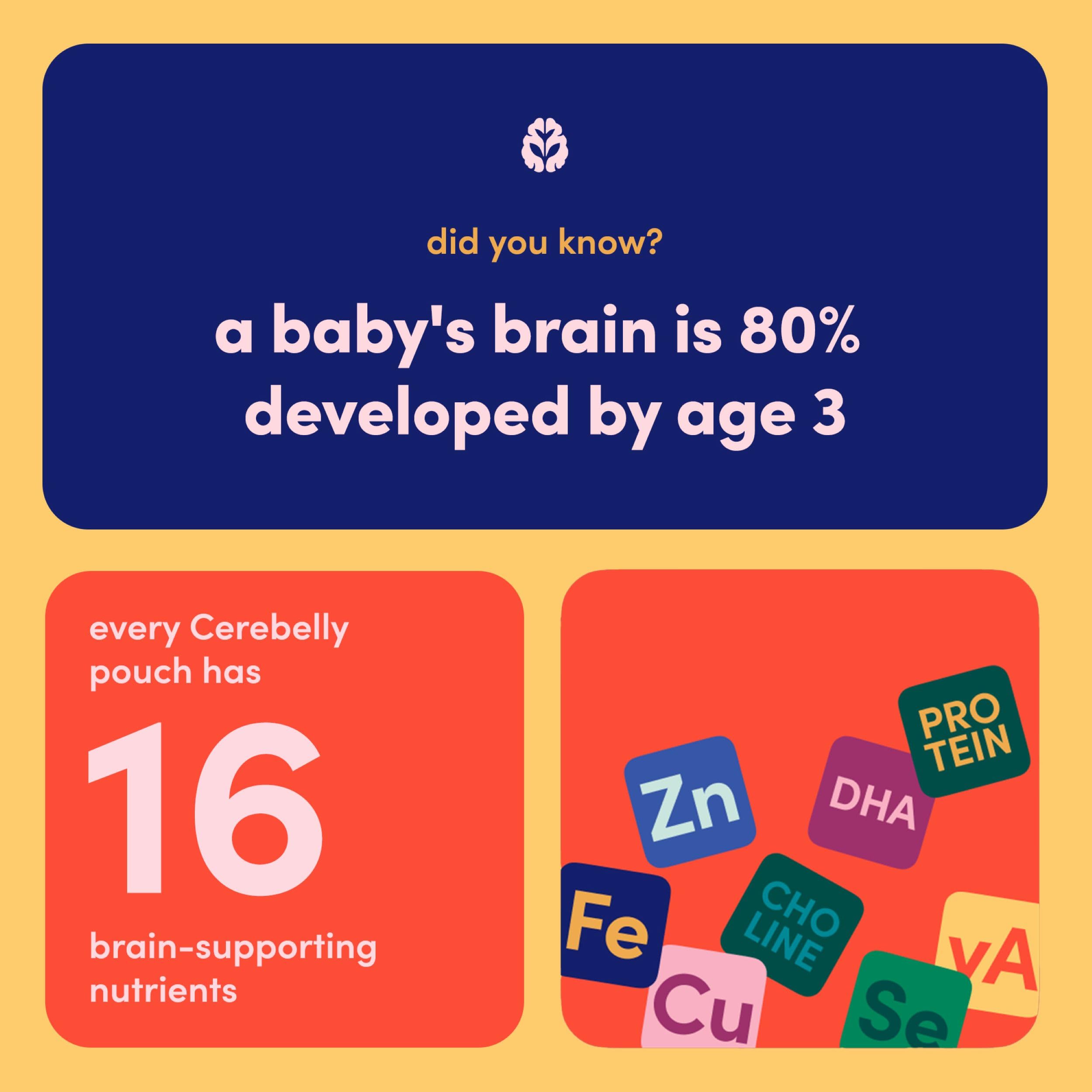 Cerebelly Organic Baby Food Pouches, Carrot Pumpkin Veggie Puree, 12ct