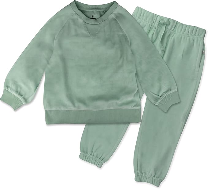 HonestBaby 2-Piece Cozy Velour Sweatshirt and Jogger Sweatpants Set 100% Organic Cotton for Toddler, Baby Boys, Girls