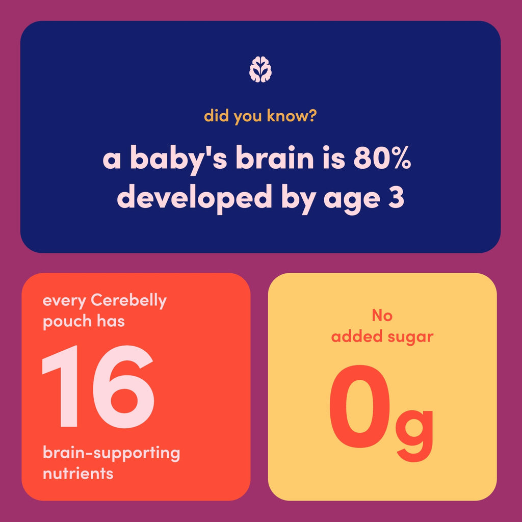 Cerebelly Organic Baby Food Pouches, Beet Carrot Blueberry Purees, 16 Nutrients, No Added Sugar, Fiber & Non-GMO, 4oz, 6 Pack