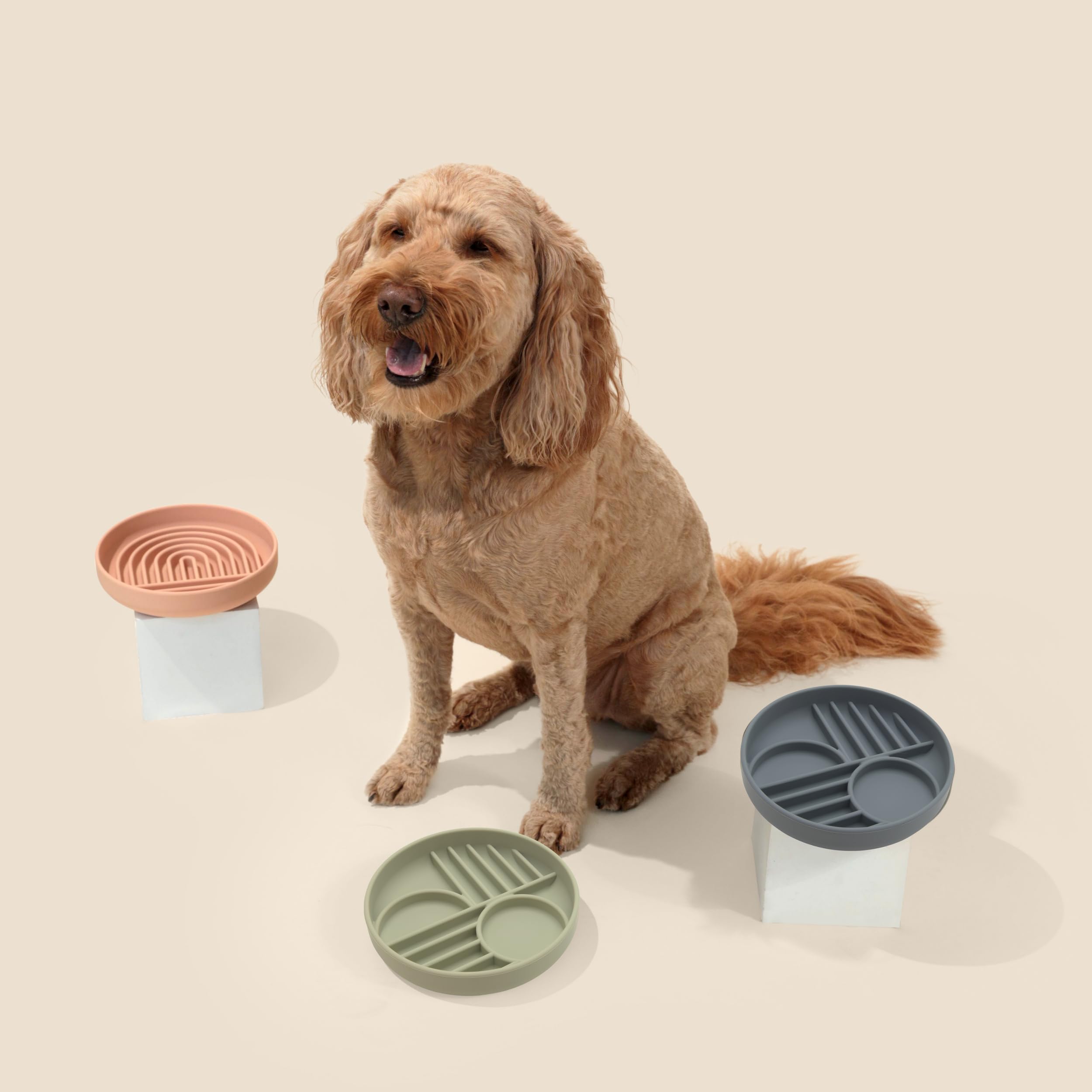 Should We Go? Slow Feeder Dog Bowls - Medium Size Silicone Slow Eating Dog Bowl for Puppies & Dogs with Suction Cup -Dishwasher-Safe, Lick Mat Design, Reduces Gulping,for All Breeds,7.5”x1.5”- Sage