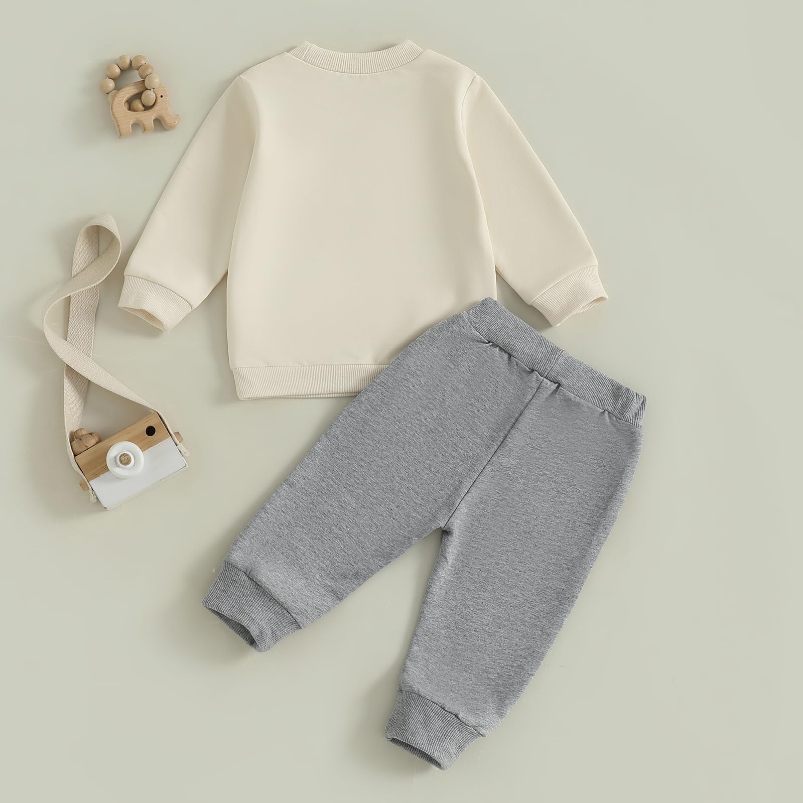Nyapruwe Toddler Baby Boys Fall Winter Outfits Funny Print Top Pants Set (Beige G-animals, 2-3T)