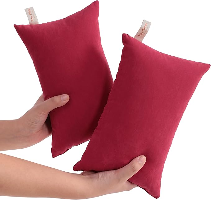NTBAY Tiny Pillows, Down Alternative 7"x11" Microfiber Mini Pillow for Travel, Pets, Soft Machine Washable Small Pillows for Neck, Wrist, Lumbar and Knee, Red