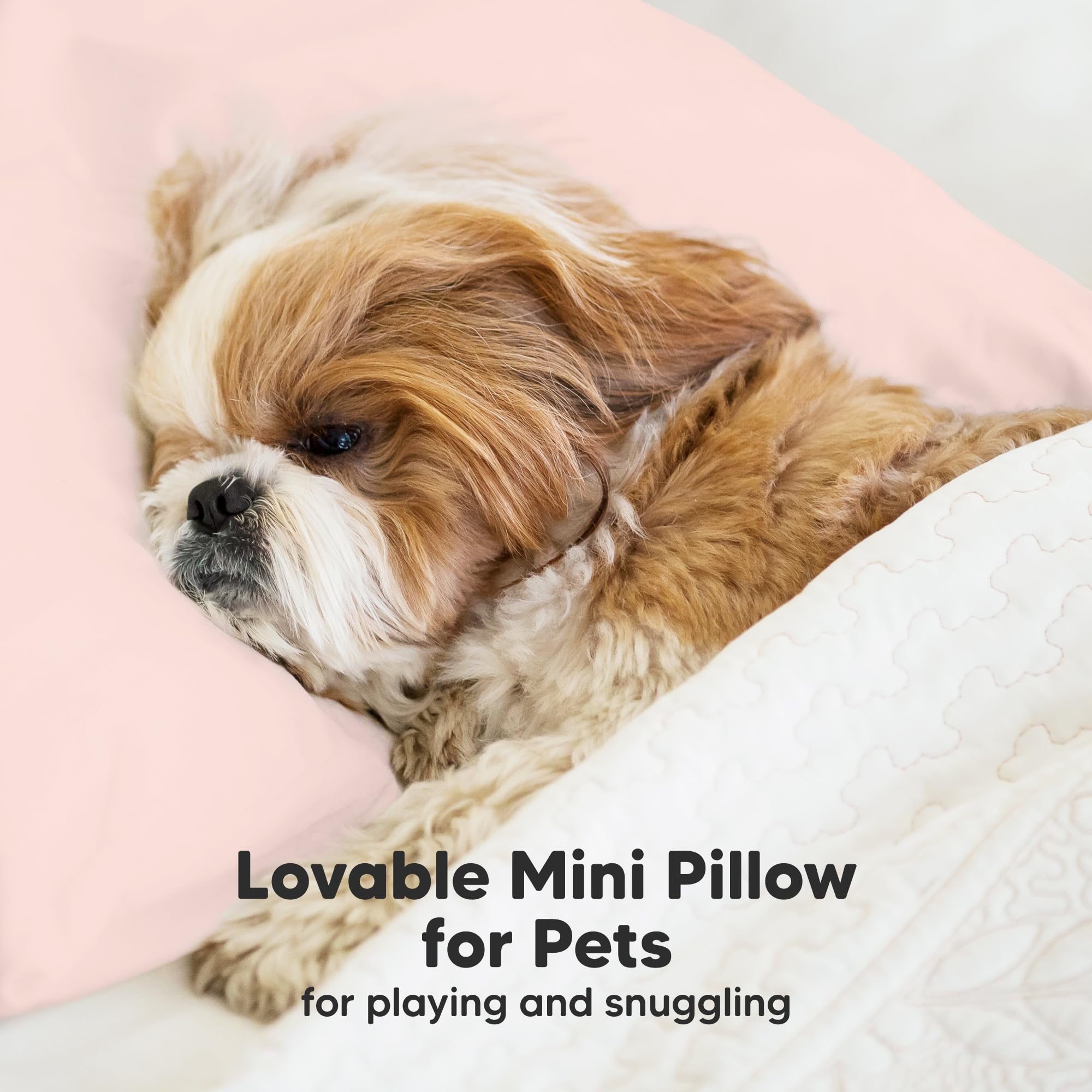 Mini Toddler Pillow with Pillowcase, 9x13 My Dreamy Pillow (Mist Pink)