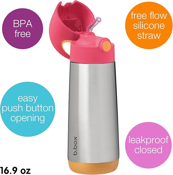b.box 16.9 oz Insulated Water Bottle - Keeps Drinks Cold 15 Hours, Warm 8 Hours, Triple Wall Stainless Steel Kids Water Bottle w/Free Flow Silicone Straw, Leakproof & Dishwasher Safe