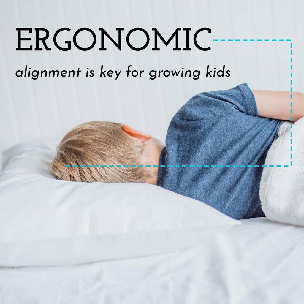 Little Sleepy Head Toddler Pillow with Cotton Pillowcase – 13x18 Kids Pillow for Ages 2–5 – Soft Hypoallergenic Toddler Bed Pillow for Travel, Daycare & Preschool – Envelope Pillowcase (Sage)