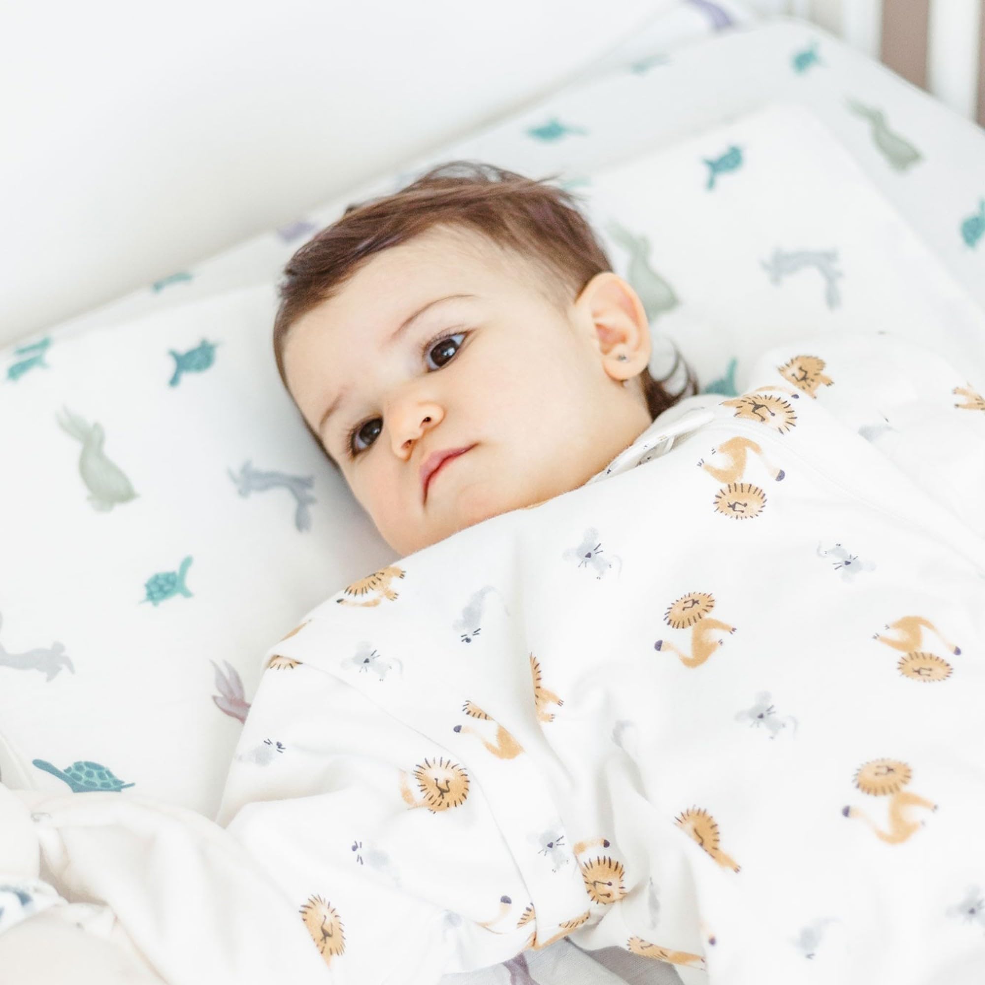 Nest Designs Toddler Pillow with Bamboo Viscose Pillowcase - The Tortoise & The Hare, Small