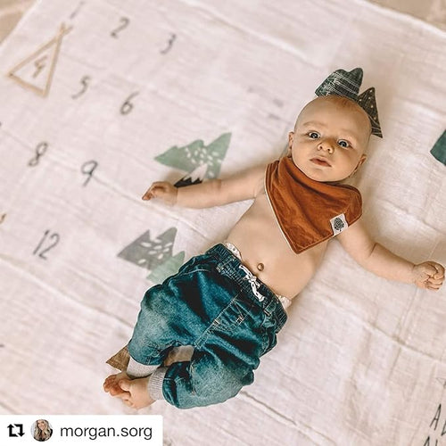 100% Organic Cotton Muslin Monthly Baby Milestone Blanket with Wooden Hello World Newborn Sign, Newborn Photography Props, Birth Announcement Sign, Eucalyptus