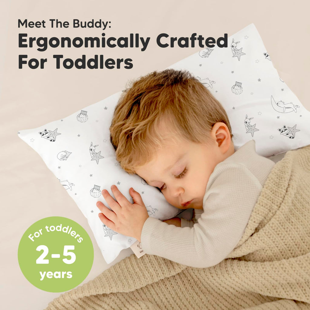 Toddler Pillow with Pillowcase, 10x18 My Little Dreamy Pillow (Slumber)