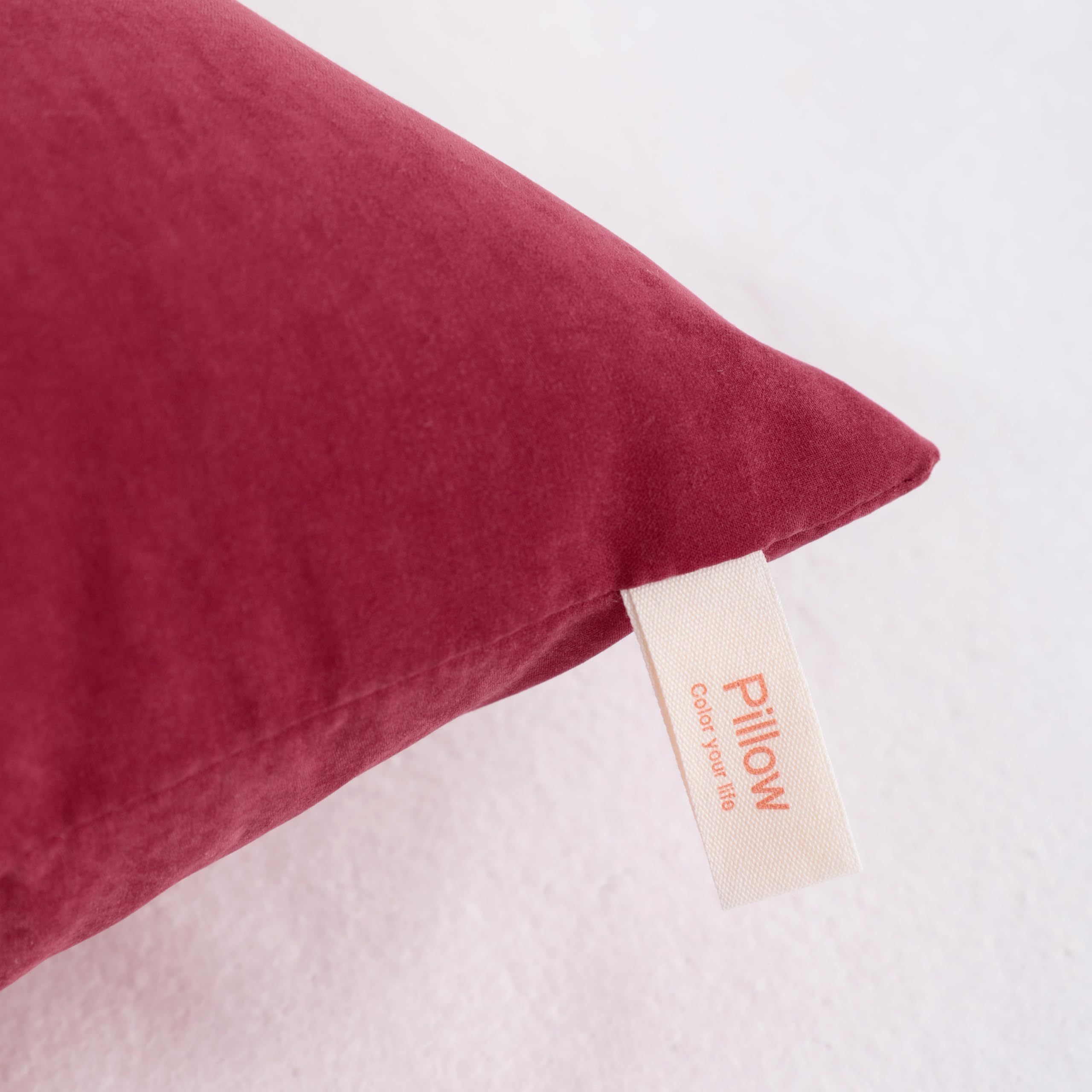 NTBAY Toddler Pillows, Down Alternative 13"x18" Pillows, Machine Washable - Soft and Breathable Travel Small Pillows for Sleeping, Ideal for Daycare, Crib, Cot, Red