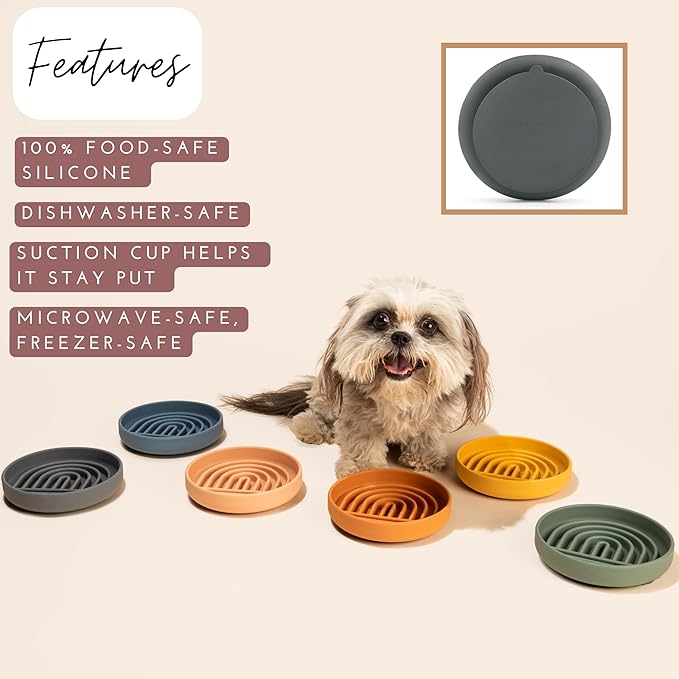 Should We Go? Slow Feeder for Dogs & Cats, The Slowdown Bowl Silicone Slow Eating Mealtime Solution with Modern Lick Mat Design, Reduces Gulping, Fits 1 Cup, 6” Across x 1.25” Tall, Small-Honey
