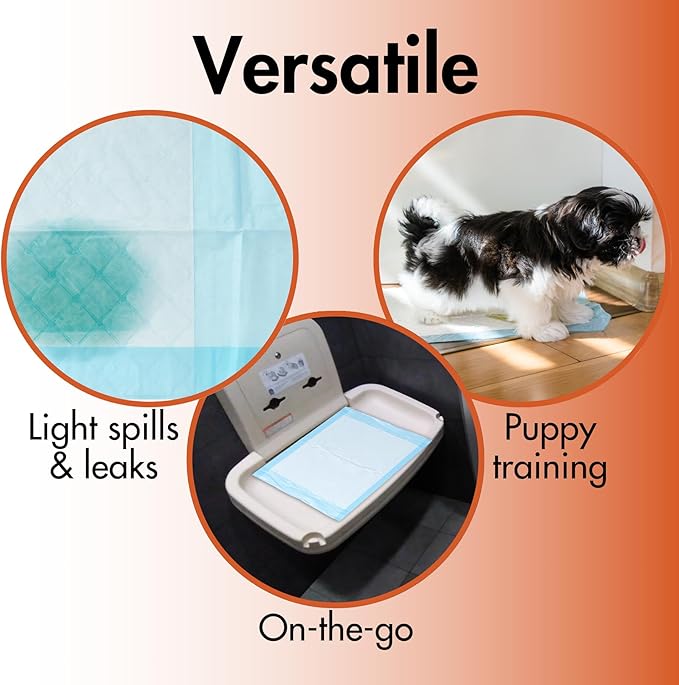 Caring Disposable Underpads 23 x 36 in, Moderate Absorbency Bed Pads, Chucks Pads, Puppy Pads, Baby Changing Pads, Incontinence Underpads for Adults, Pets, Babies, 25 Count Pack