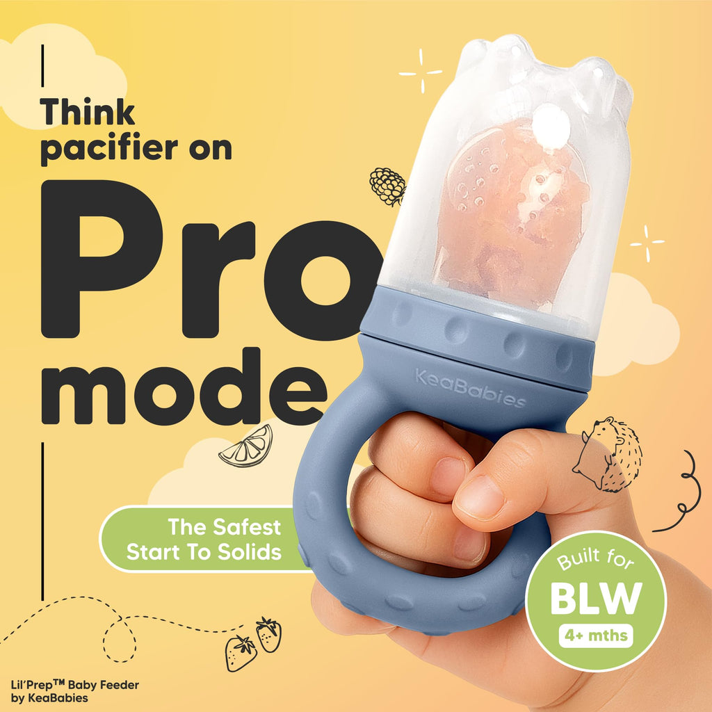 KeaBabies Baby Fruit Feeder 2pk, Silicone Baby Food Feeder,BPA-Free (Slate)