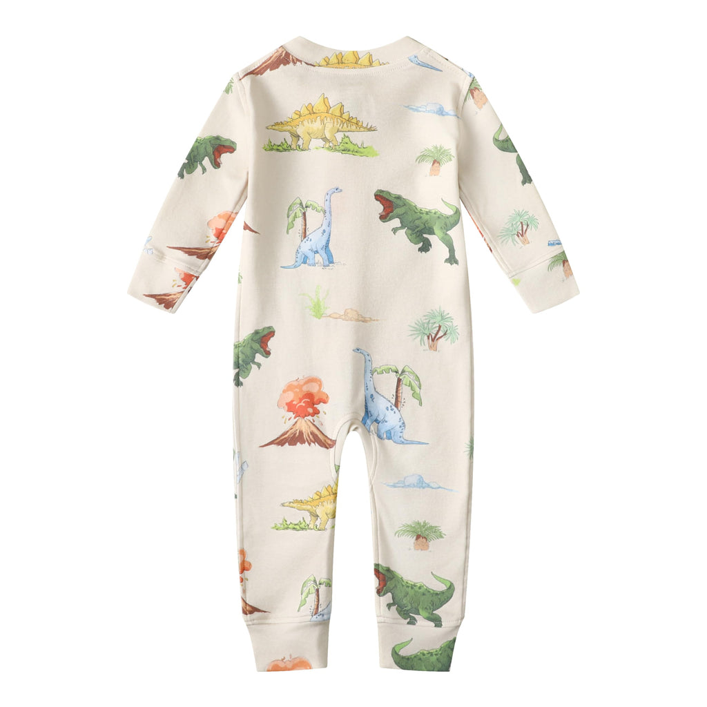 Owlivia Organic Cotton Baby Boy Girl Zip up Sleep N Play, Footless, Long Sleeve(0-3 Months, Watercolor Dinosaur)