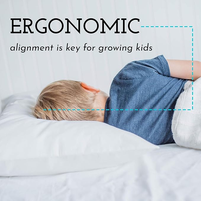 Little Sleepy Head Toddler Pillow with Pillowcase 13x18 - Kids Pillow for Sleeping - Better Neck Support Ergonomic Pillow and Toddler Pillowcase - Best Pillows for Kids (Gingham Green)