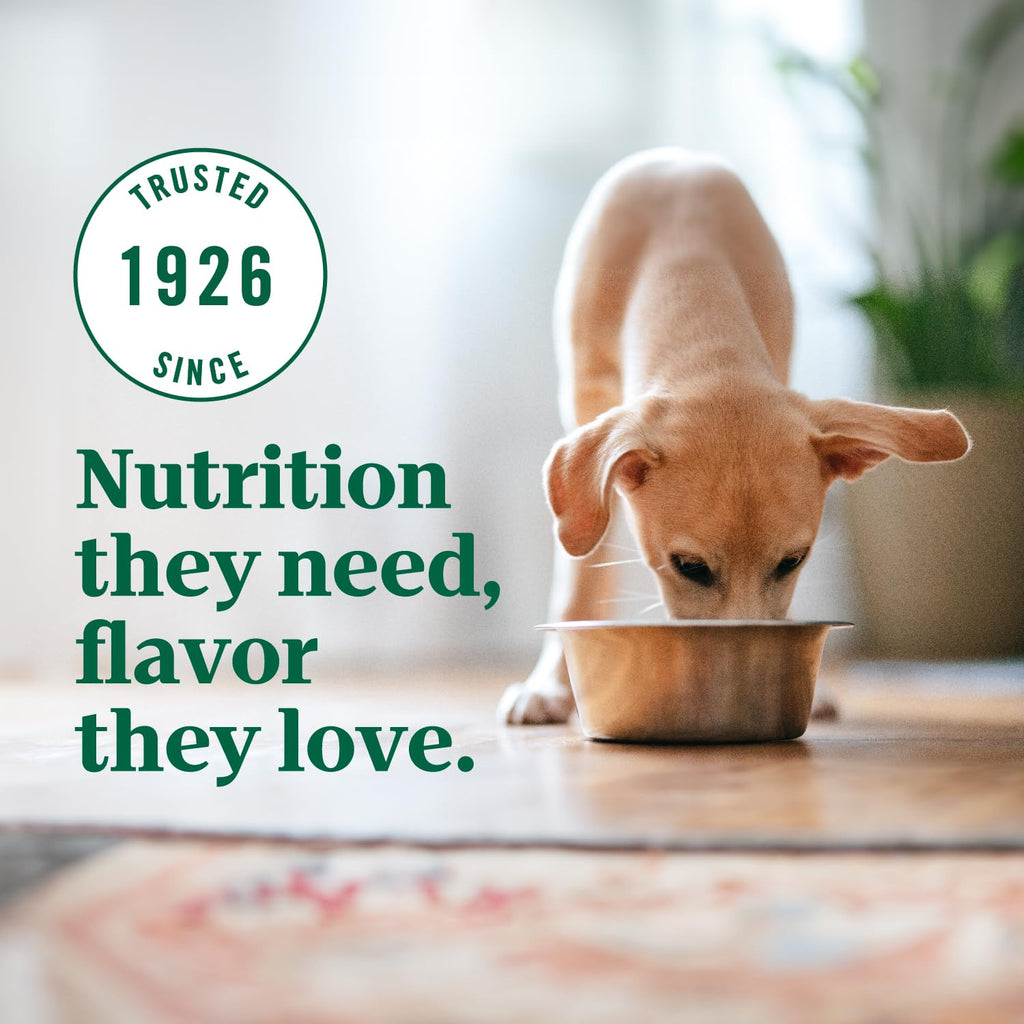 Nutro Ultra High Protein Puppy Dry Dog Food, Chicken, Lamb & Salmon, 22 lb
