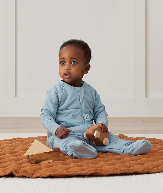 ergoPouch 2.5 TOG Sleeping Bag – Breathable, Cozy Sleepwear for Boys and Girls (12-24 Months, Dragonflies)