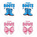 80Pcs Funny Boot and Bow Gender Reveal Stickers Roll, 2 inch Team Boy Team Girl Gender Reveal Labels, Pink and Blue Self-Adhesive Decorative Round Stickers for Birthday Baby Shower Party Supplies