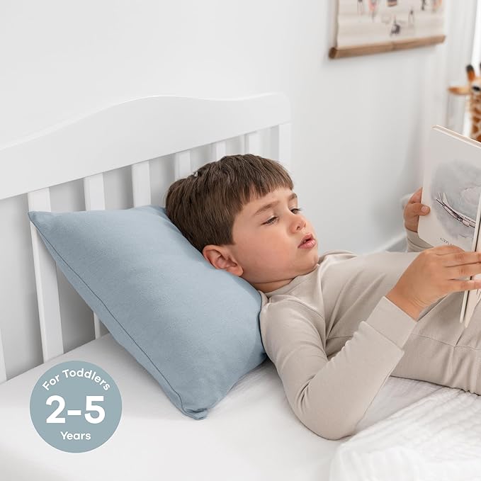 Comfy Cubs Toddler Pillow with Cotton Pillowcase, 13 x 18 in, 2 Pack - Travel and Sleep Support for Kids - Lightweight, Breathable Microfiber Fill - Soft & Cozy Small Pillow for Toddler - Pacific Blue