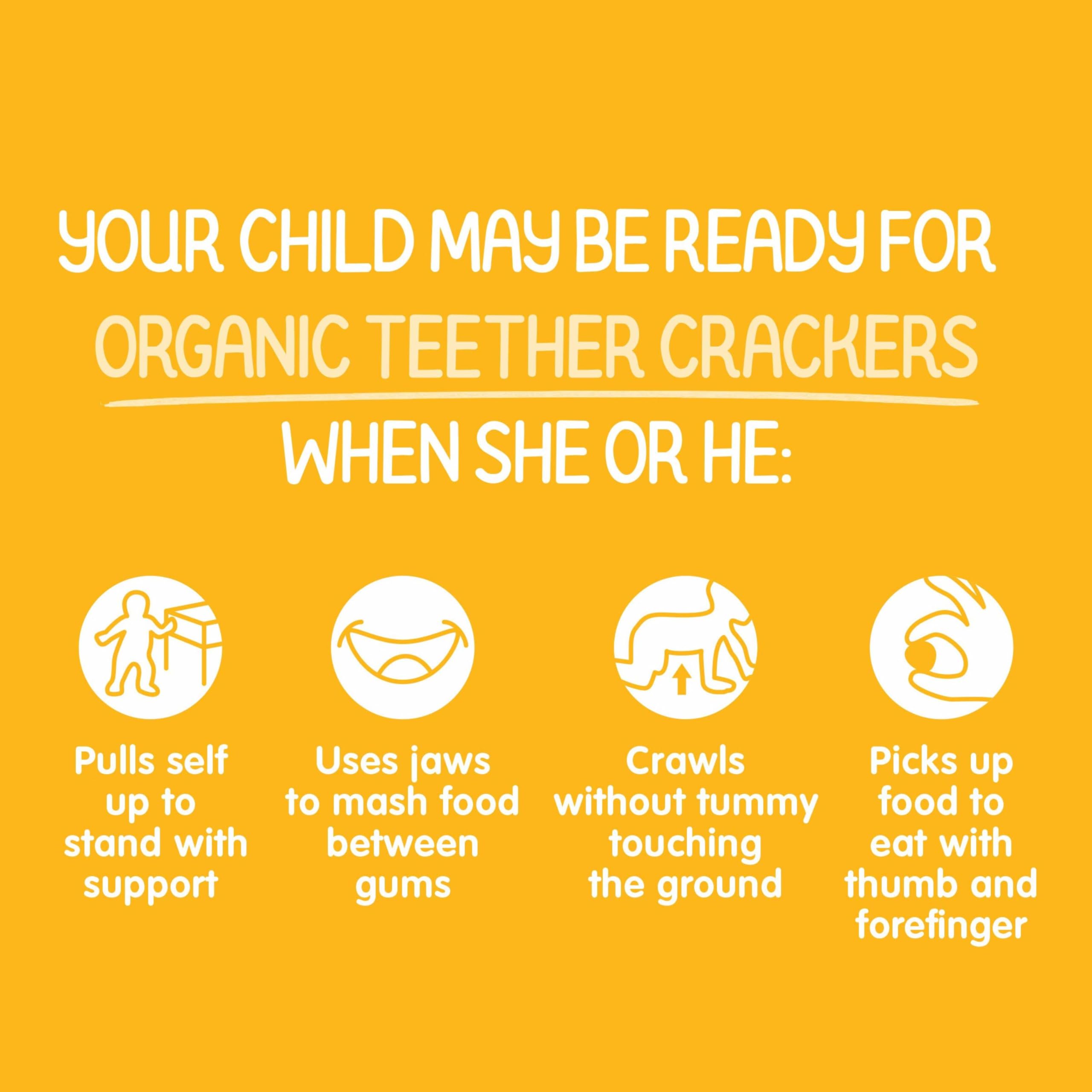 Happy Baby Organics Organic Teether Crackers Gluten Free Mango & Pumpkin with Amaranth 12-0.14 oz Packs