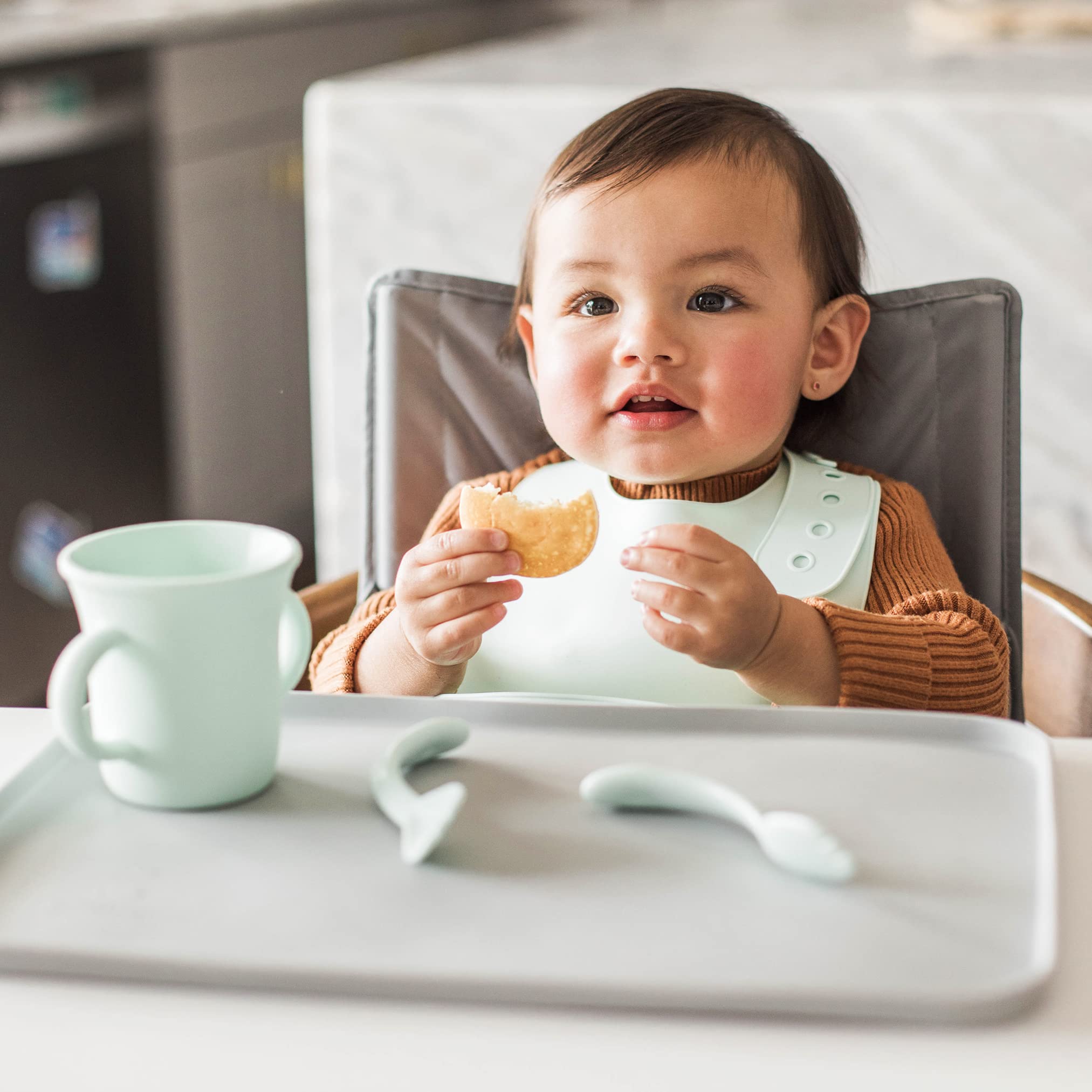 Green Sprouts Unisex Baby Silicone Scoop Bib, Light Blueberry