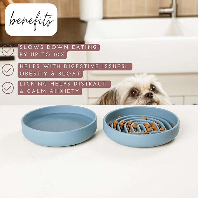 Should We Go? Slow Feeder for Dogs & Cats, The Slowdown Bowl Silicone Slow Eating Mealtime Solution with Modern Lick Mat Design, Reduces Gulping, Fits 1 Cup, 6” Across x 1.25” Tall, Small-Tan
