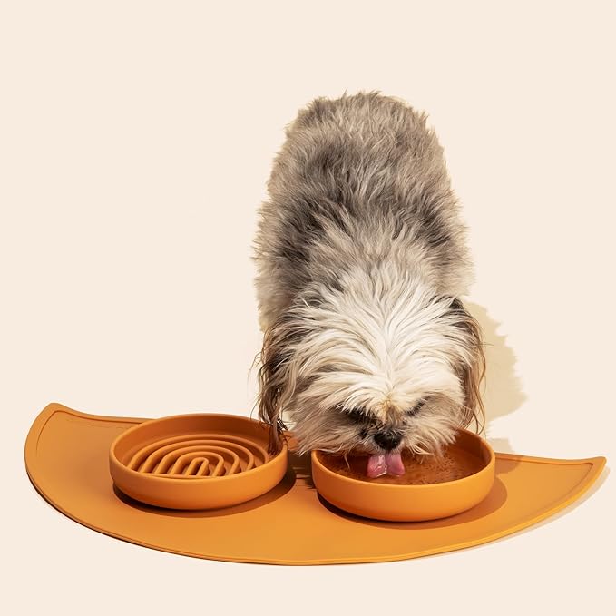 Should We Go? Slow Feeder for Dogs & Cats, The Slowdown Bowl Silicone Slow Eating Mealtime Solution with Modern Lick Mat Design, Reduces Gulping, Fits 1 Cup, 6” Across x 1.25” Tall, Small-Terracotta