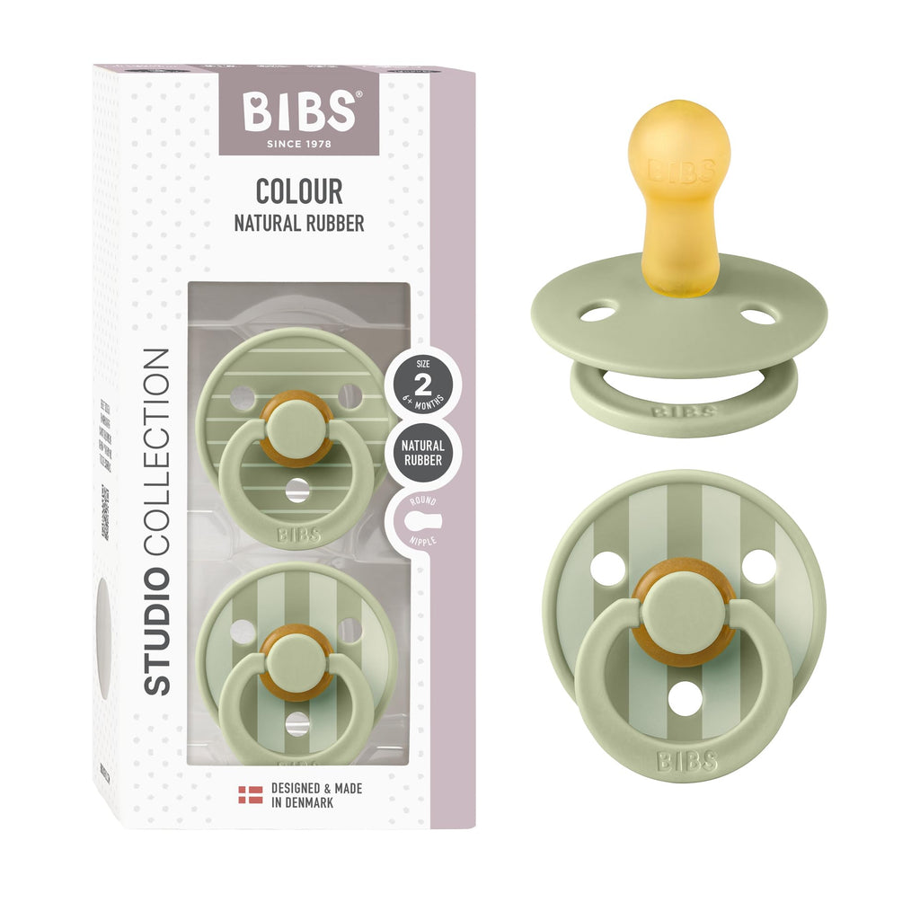 BIBS Colour Pacifier, 6-18 Months, 2-Pack, Round Nipple, Pin Sage