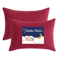NTBAY Toddler Pillows, Down Alternative 13"x18" Pillows, Machine Washable - Soft and Breathable Travel Small Pillows for Sleeping, Ideal for Daycare, Crib, Cot, Red