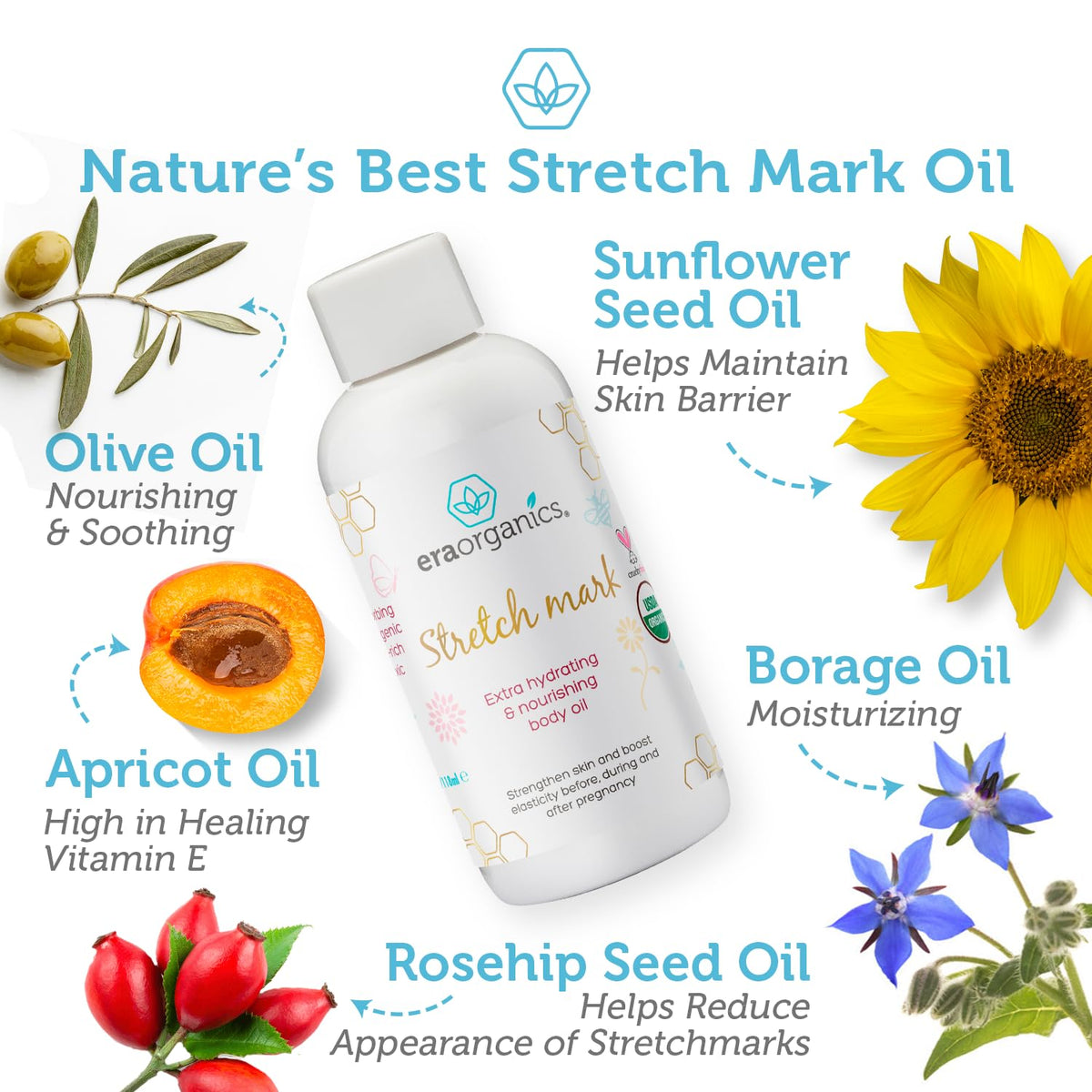 USDA Organic Stretch Mark Oil for Pregnancy - Ultra Moisturizing Belly Oil