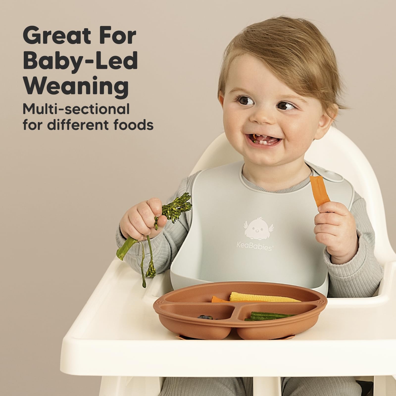 KeaBabies Suction Plates with Lids for Baby, 3pk 100% Silicone (Terracotta)
