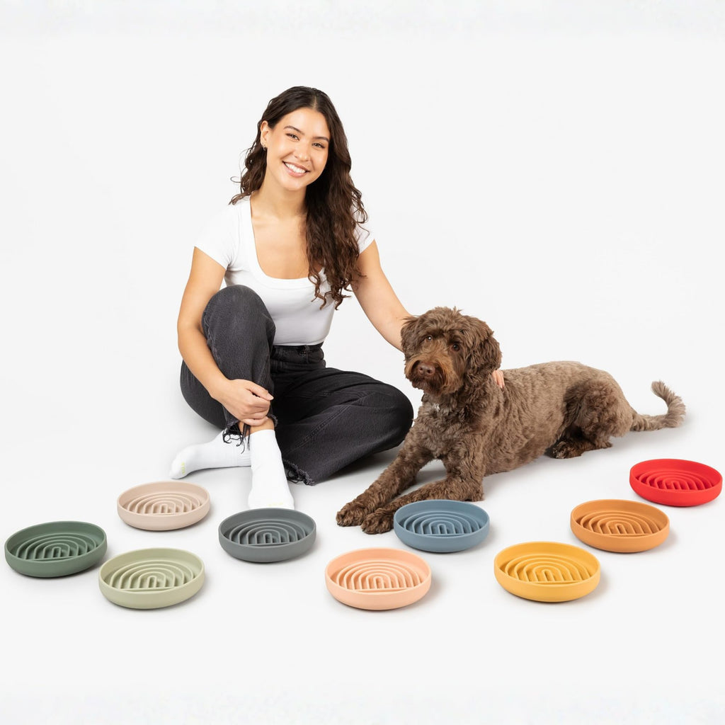 Should We Go? Slow Feeder Dog Bowls - Medium Size Silicone Slow Eating Dog Bowl for Puppies & Dogs with Suction Cup -Dishwasher-Safe, Lick Mat Design, Reduces Gulping,for All Breeds,7.5”x1.5”- Blush