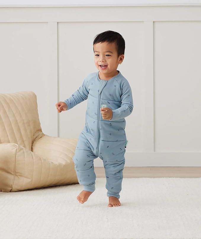 ergoPouch 2.5 TOG Sleeping Bag – Breathable, Cozy Sleepwear for Boys and (2-3 Years, Dragonflies)