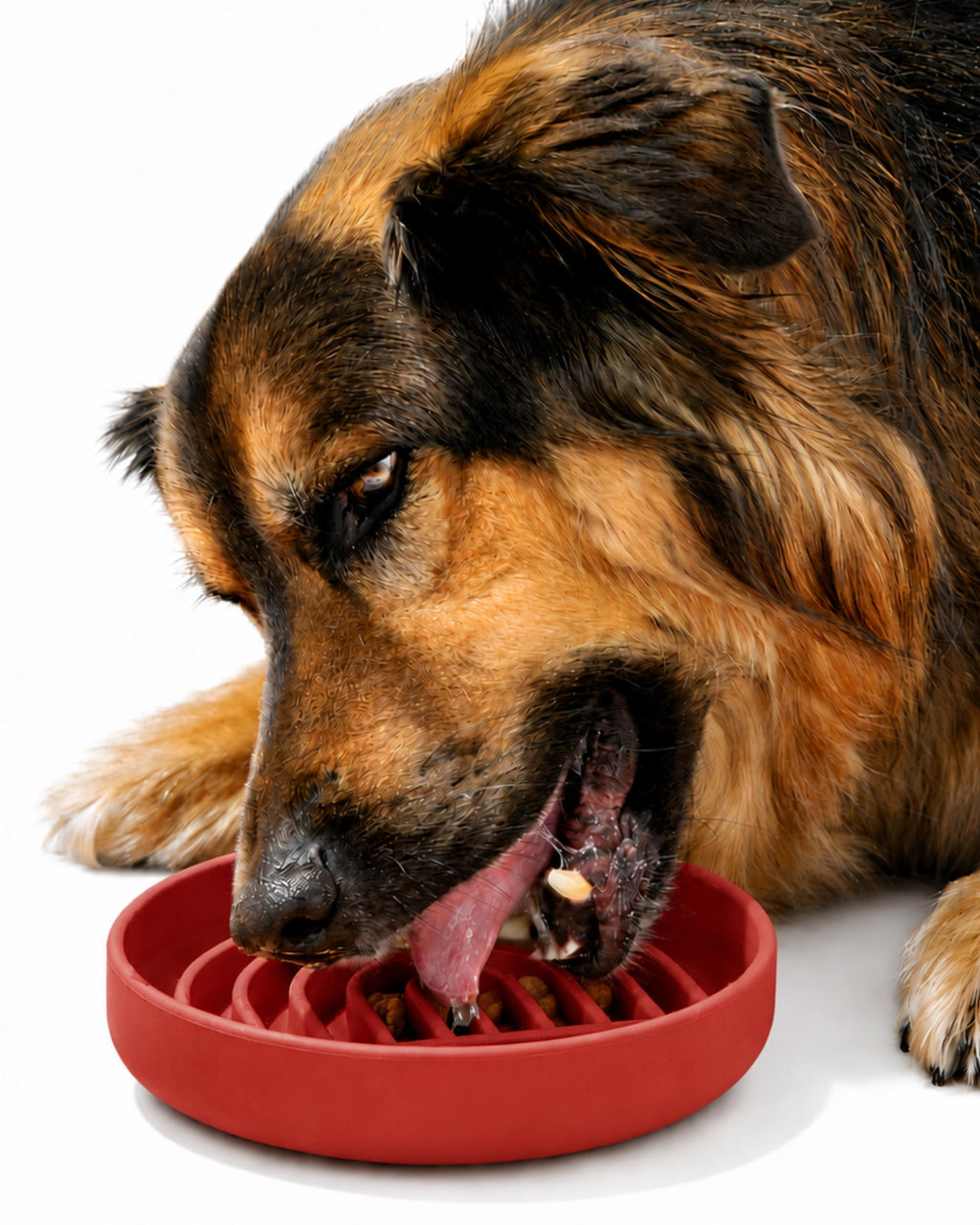 Should We Go? Slow Feeder Dog Bowls - Medium Size Silicone Slow Eating Dog Bowl for Puppies & Dogs with Suction Cup -Dishwasher-Safe, Lick Mat Design, Reduces Gulping,for All Breeds,7.5”x1.5”- Cherry